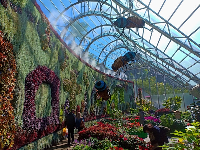 A floral wall exhibition at the Calyx in Sydney's Royal Botanic Garden