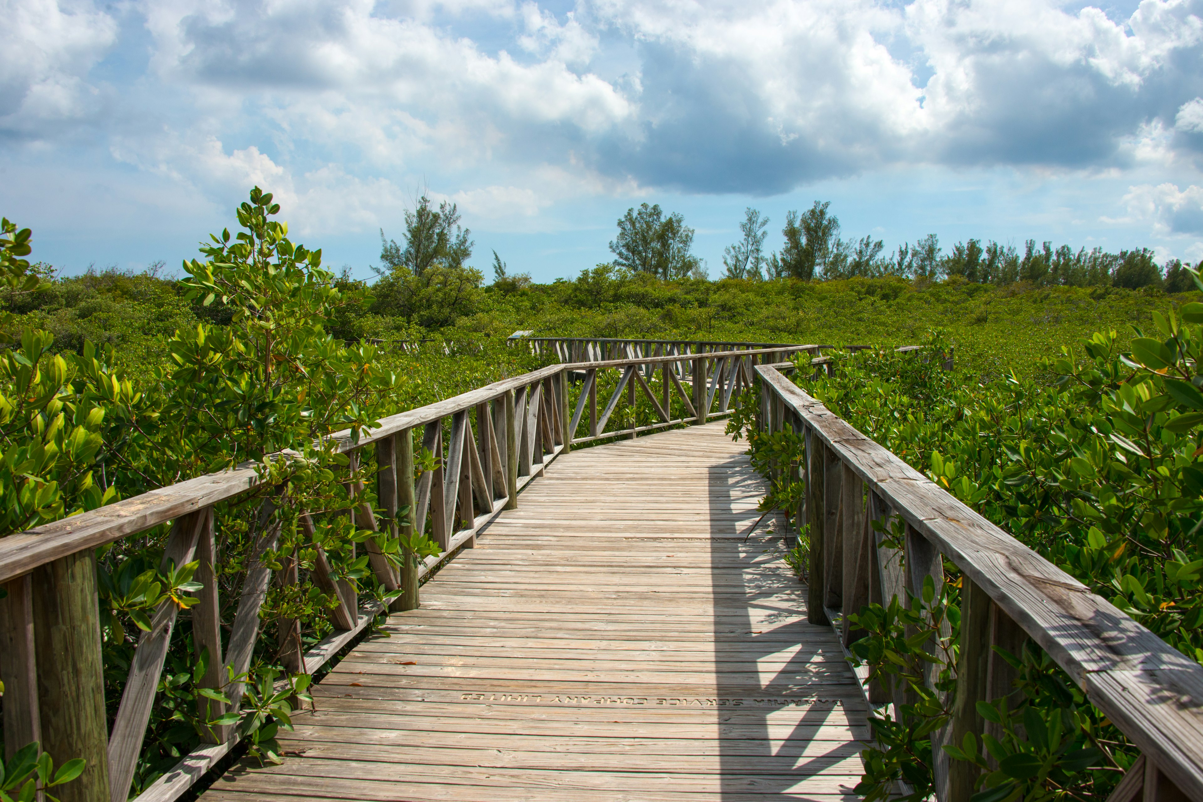 A wooden walkway for visitors to Lucayan National Park, Grand Bahama Island, The Bahamas, Caribbean, North America