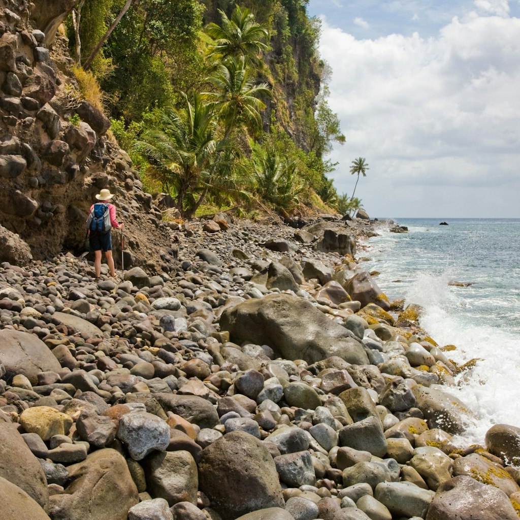 CP7J5A A female walker negotiates the slippery rocky coastal section of Segment 13 of the Waitukubuli National Trail in Dominica