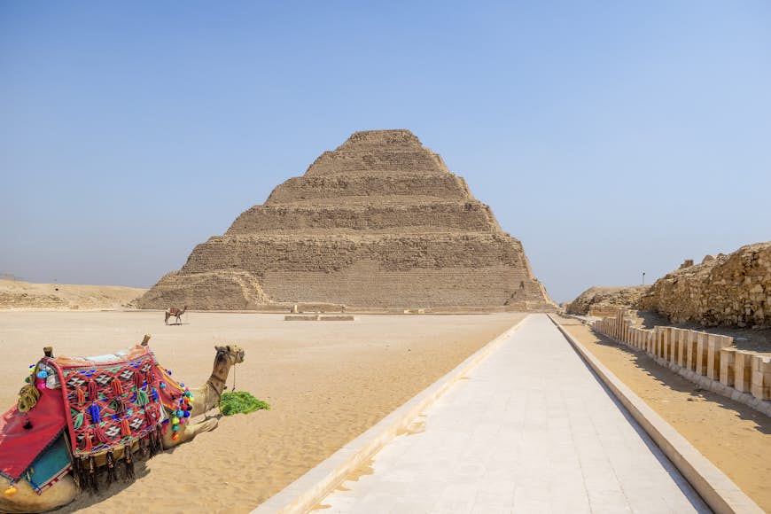 Camels sit in a sandy landscape at the Step Pyramid, Sakkara, Egypt