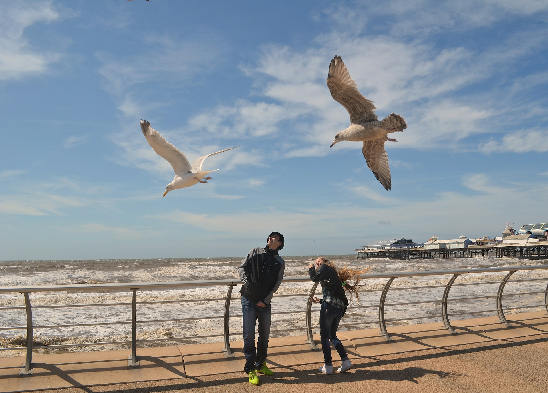 Two people by the beach with seagulls flying overhead