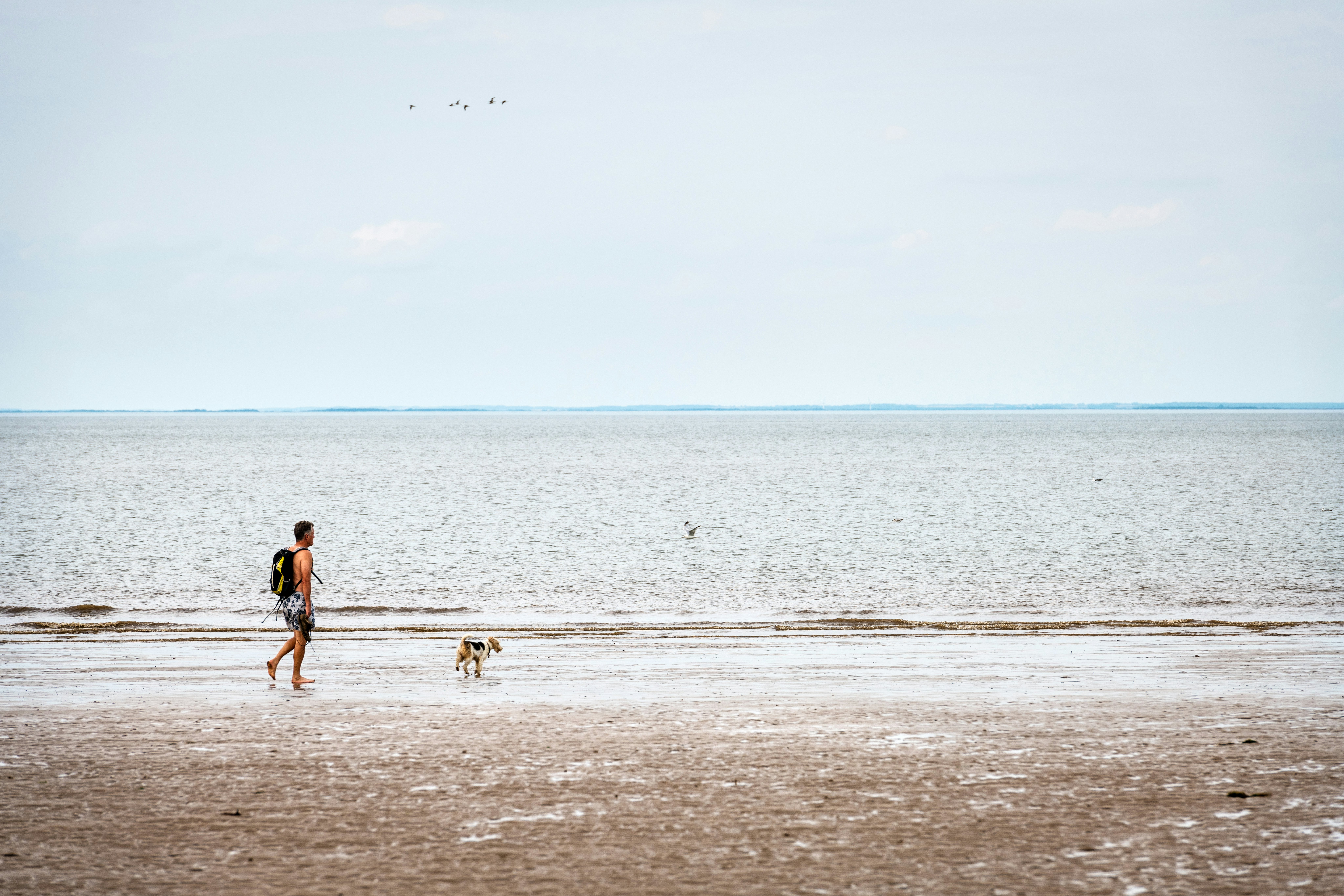 A man walks his dog on the beach at the Holkham National Nature Reserve in the United Kingdom on a cloudy summer day