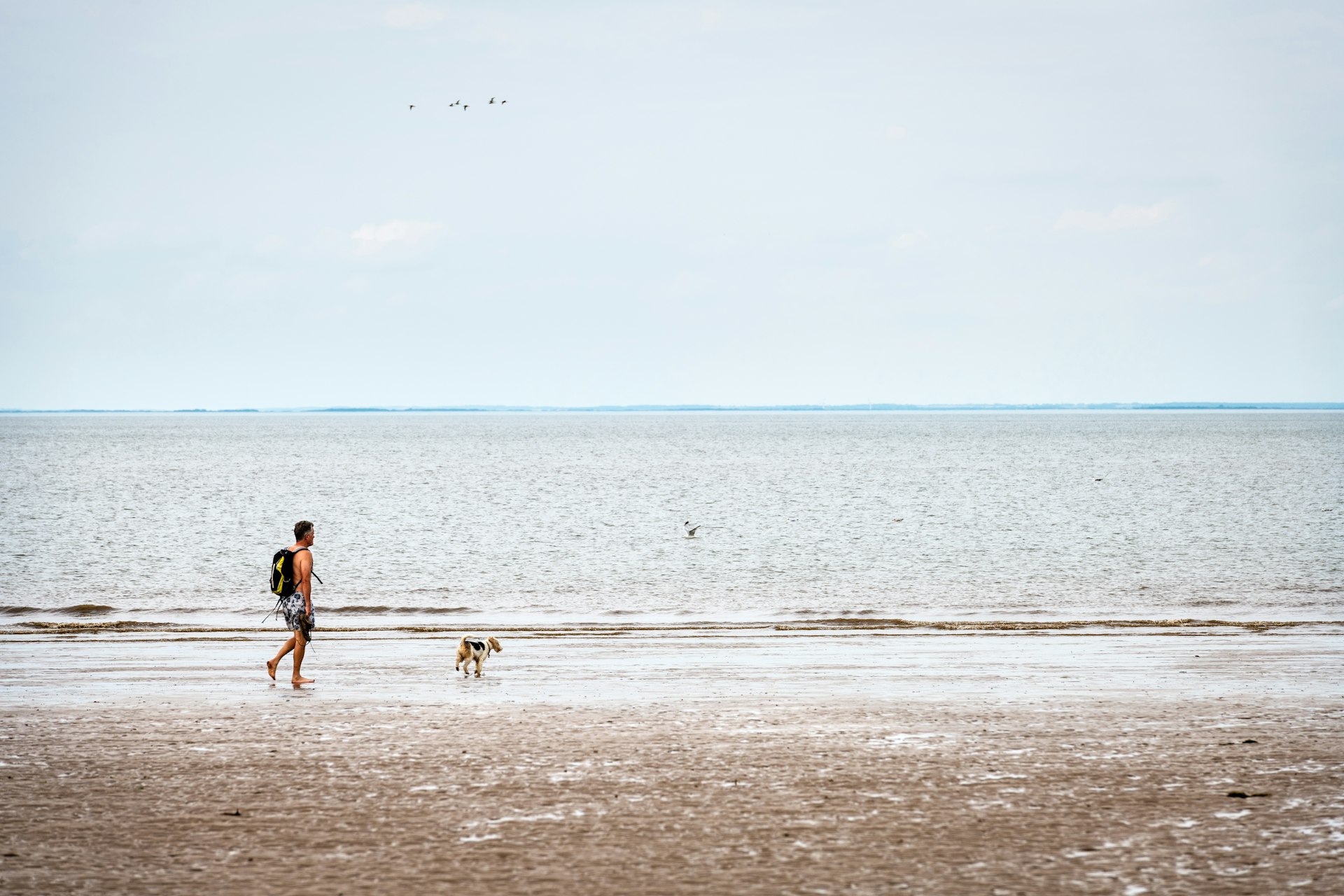 A man walks his dog on the beach at the Holkham National Nature Reserve in the United Kingdom on a cloudy summer day
