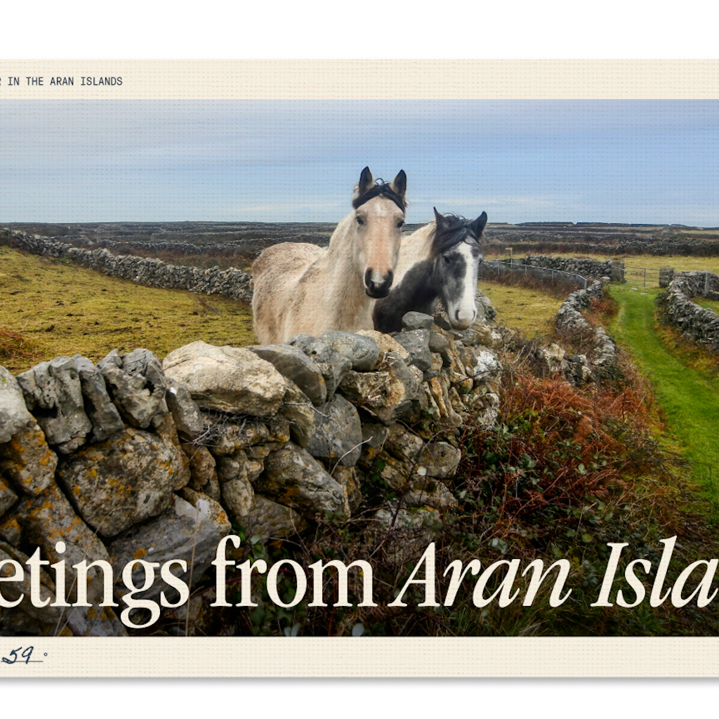 Curious horses look out from behind a stone fence on Inis Mór.