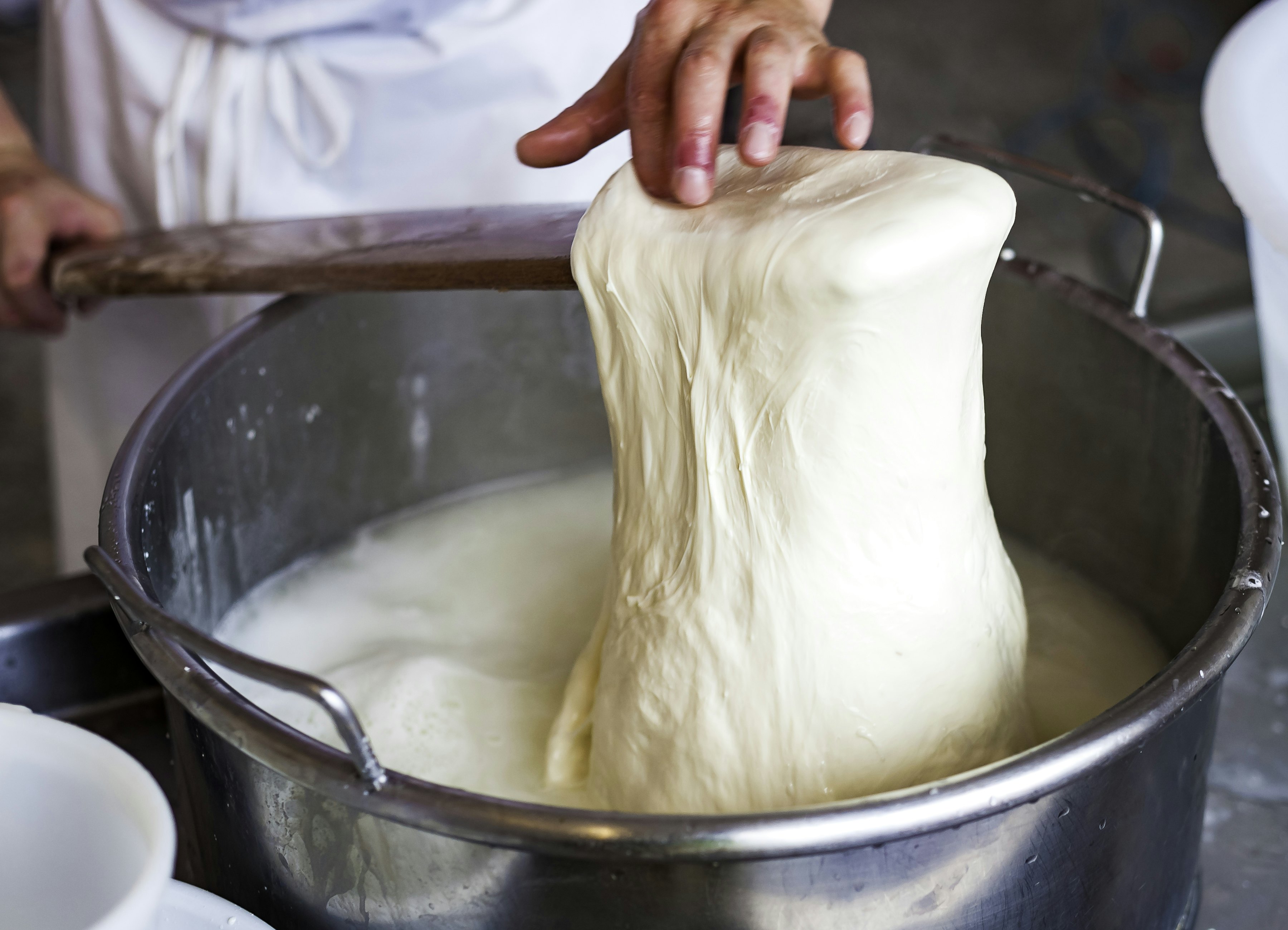 Worker from cheese factory producing mozzarella. Selective focus