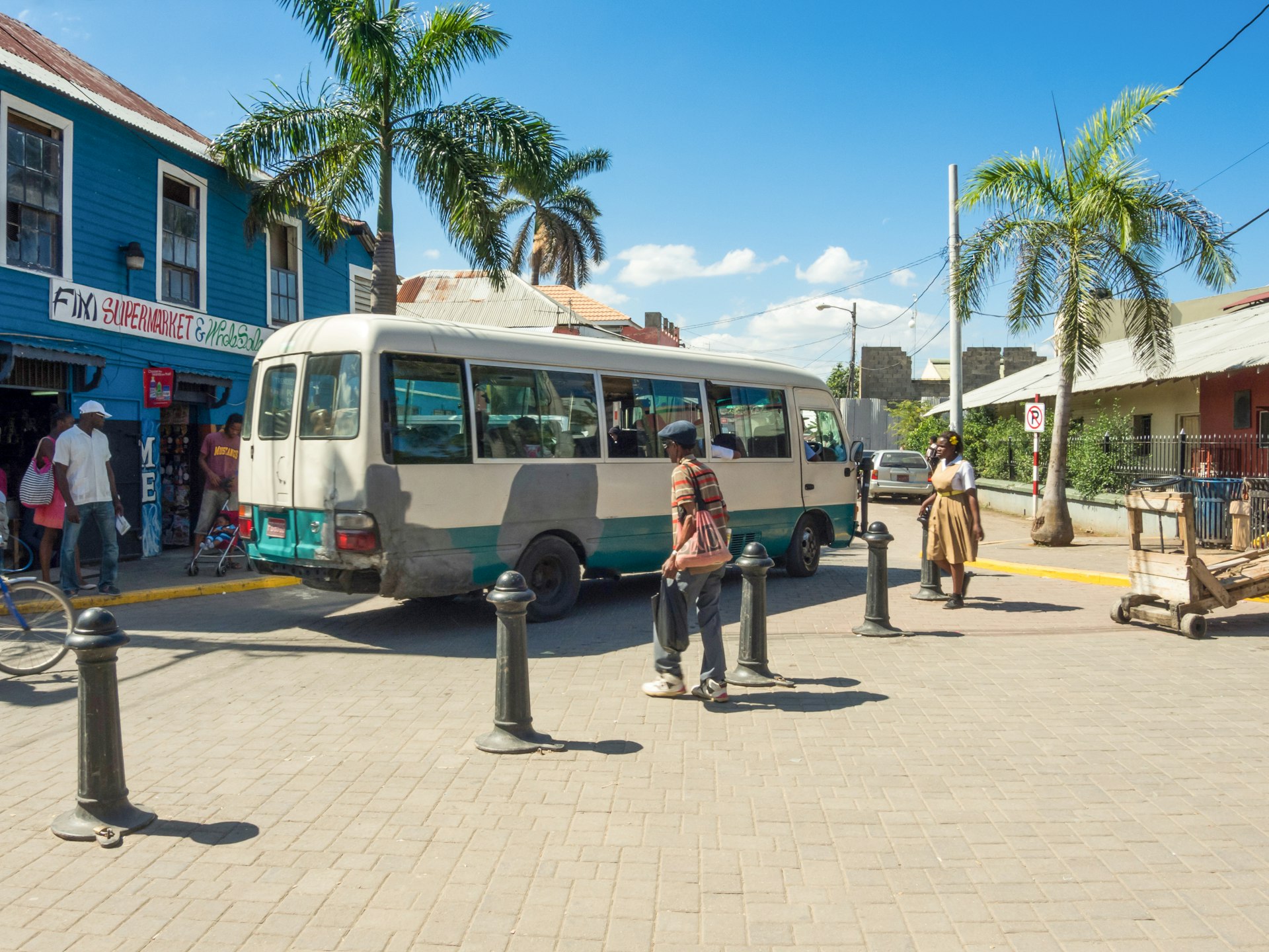 A bus parked under palm trees