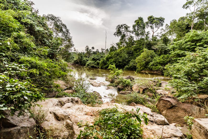 River Omo in Omo forest reserve, south west of Nigeria.