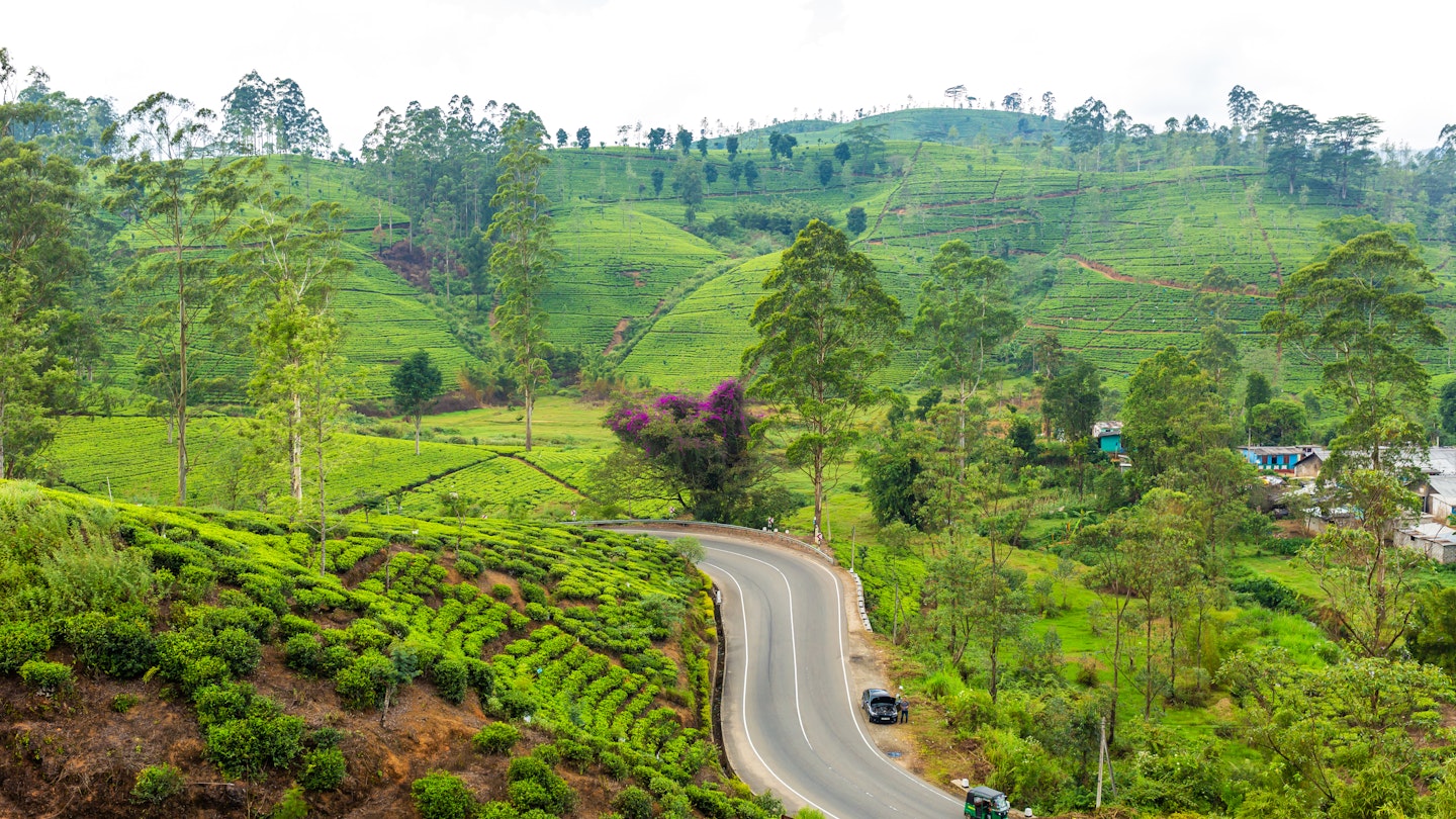 scenery road through green hills and tea plantations. Sri Lanka natural landscape.