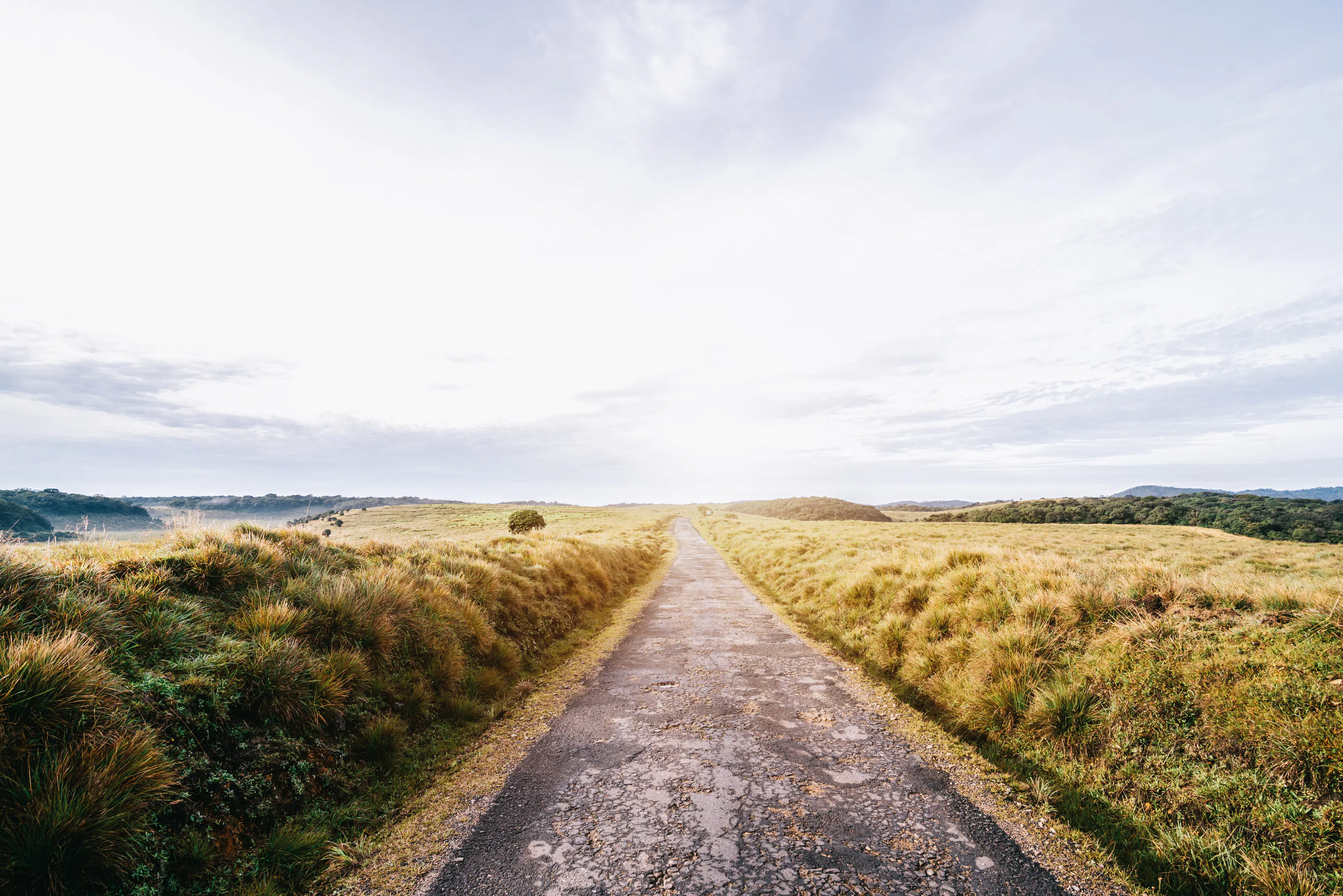 6 of the best road trips in Sri Lanka - Lonely Planet