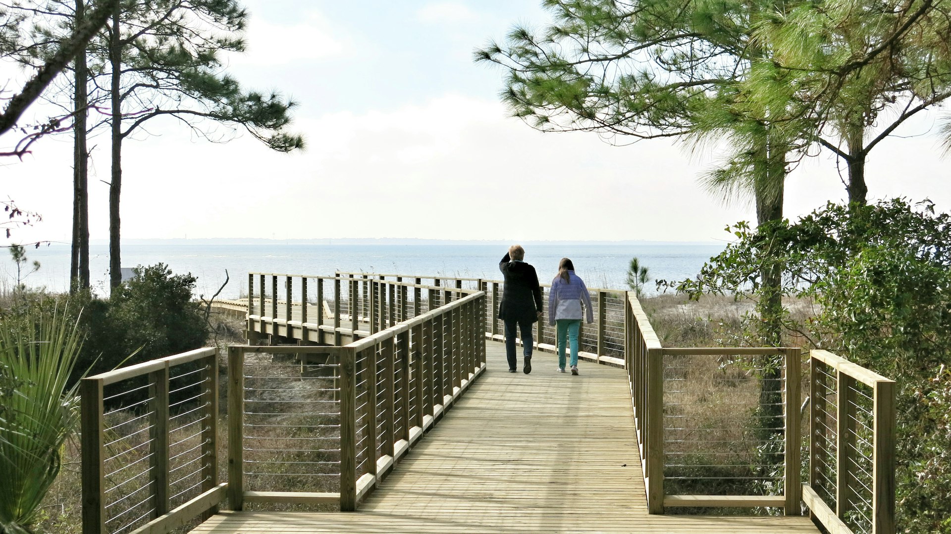 Best time to visit South Carolina Lonely