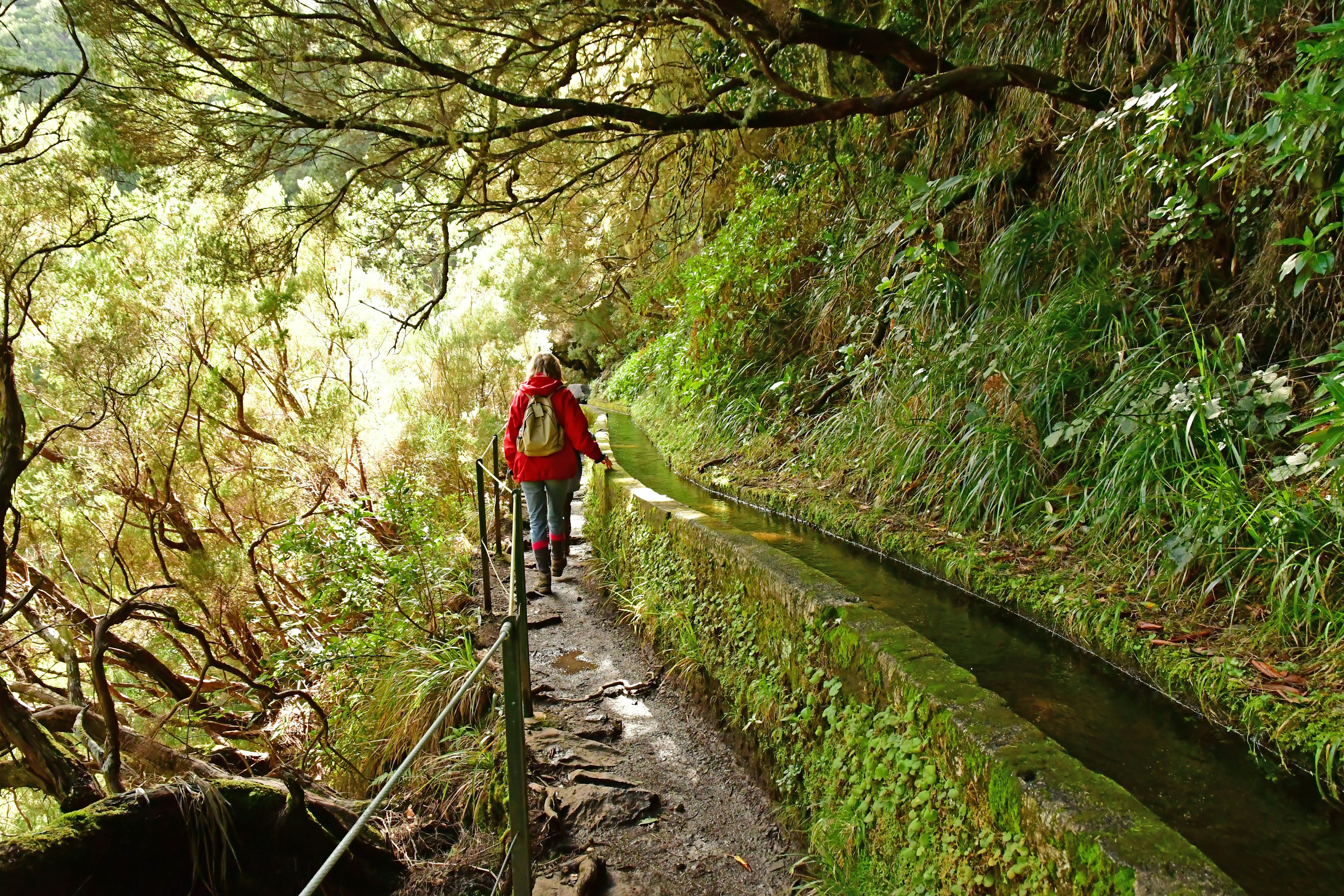 A person walks aside an irrigation canal in a lush green landscape.