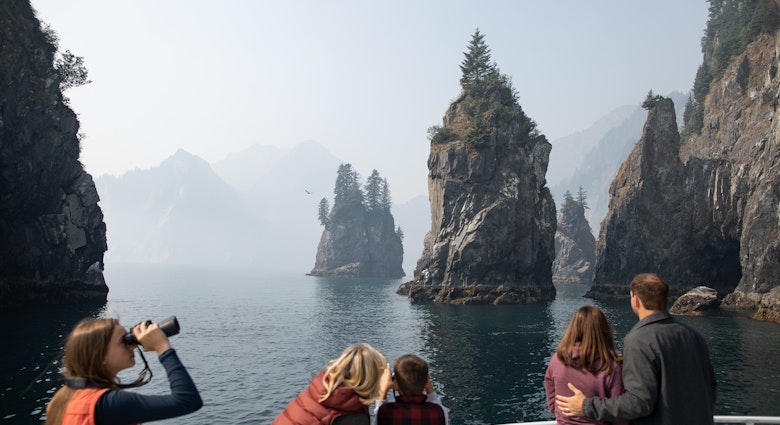 Watch of wildlife among the cliffs of Kenai Fjords National Park © Nathaniel Wilder/Lonely Planet