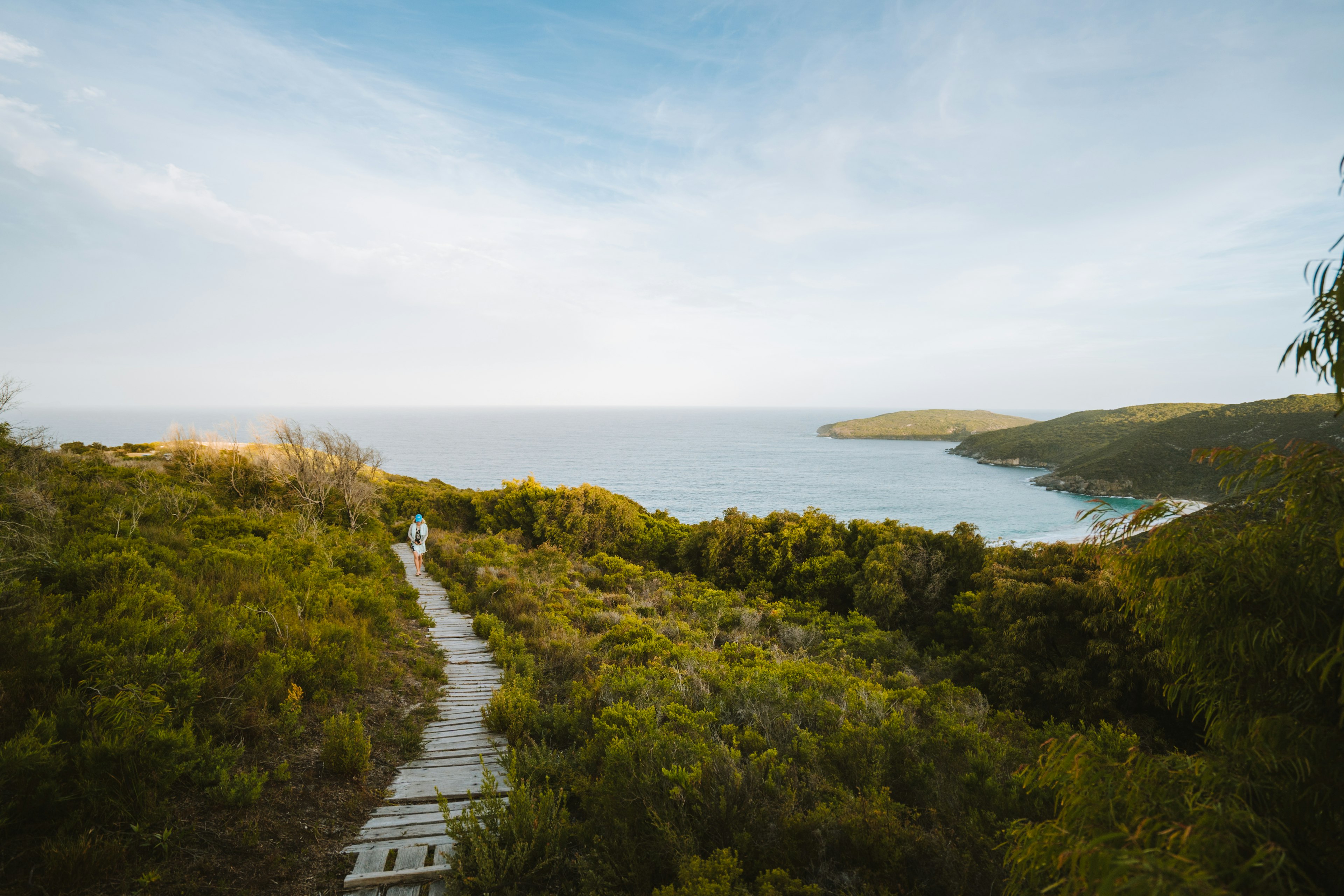 A solo hiker follows a rough boardwalk through bushland near the ocean