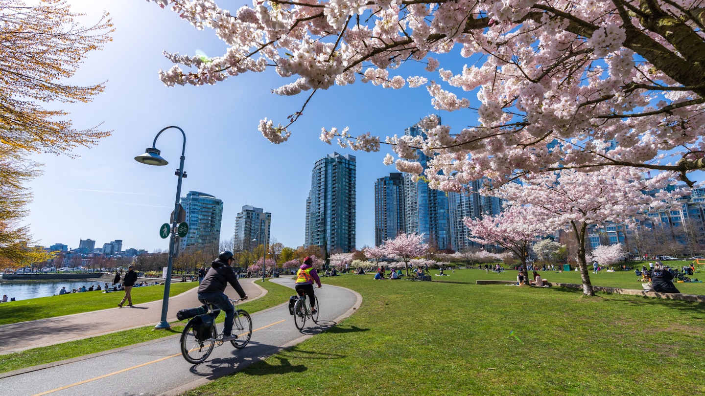 Vancouver, BC, Canada - April 5 2021 : People doing cycling and having a picnic in David Lam Park in springtime, enjoying cherry blossom flowers in full bloom.
1363715066
david lam park, seawall