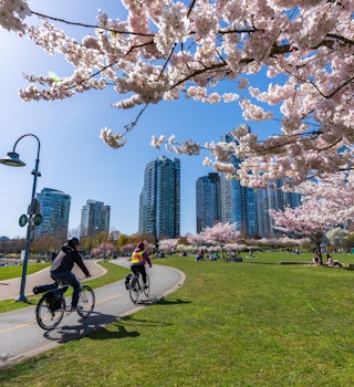 Vancouver, BC, Canada - April 5 2021 : People doing cycling and having a picnic in David Lam Park in springtime, enjoying cherry blossom flowers in full bloom.
1363715066
david lam park, seawall