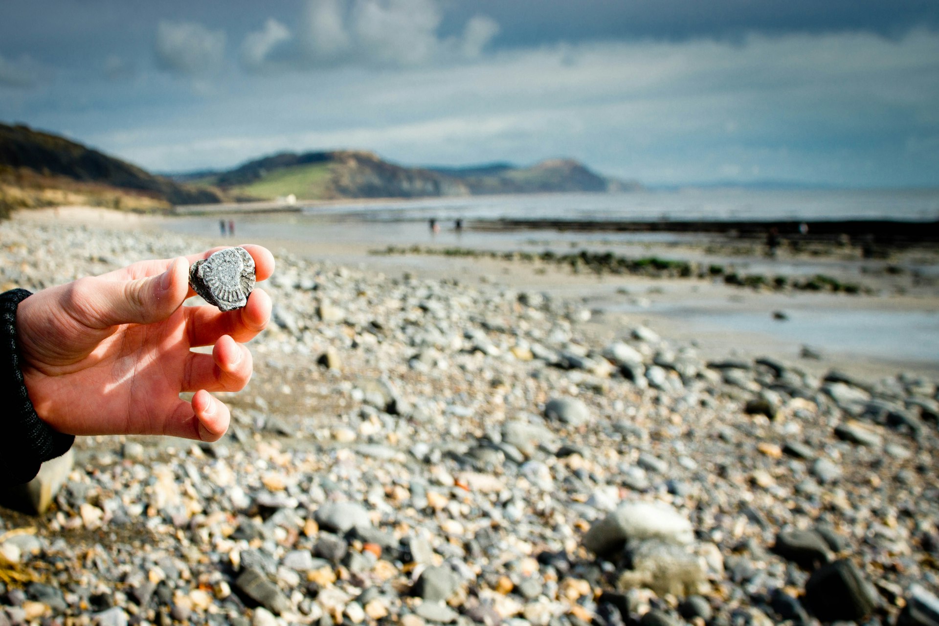 Hand holding an ammonite fossil found in the rocks on the beach between Lyme Regis and Charmouth.