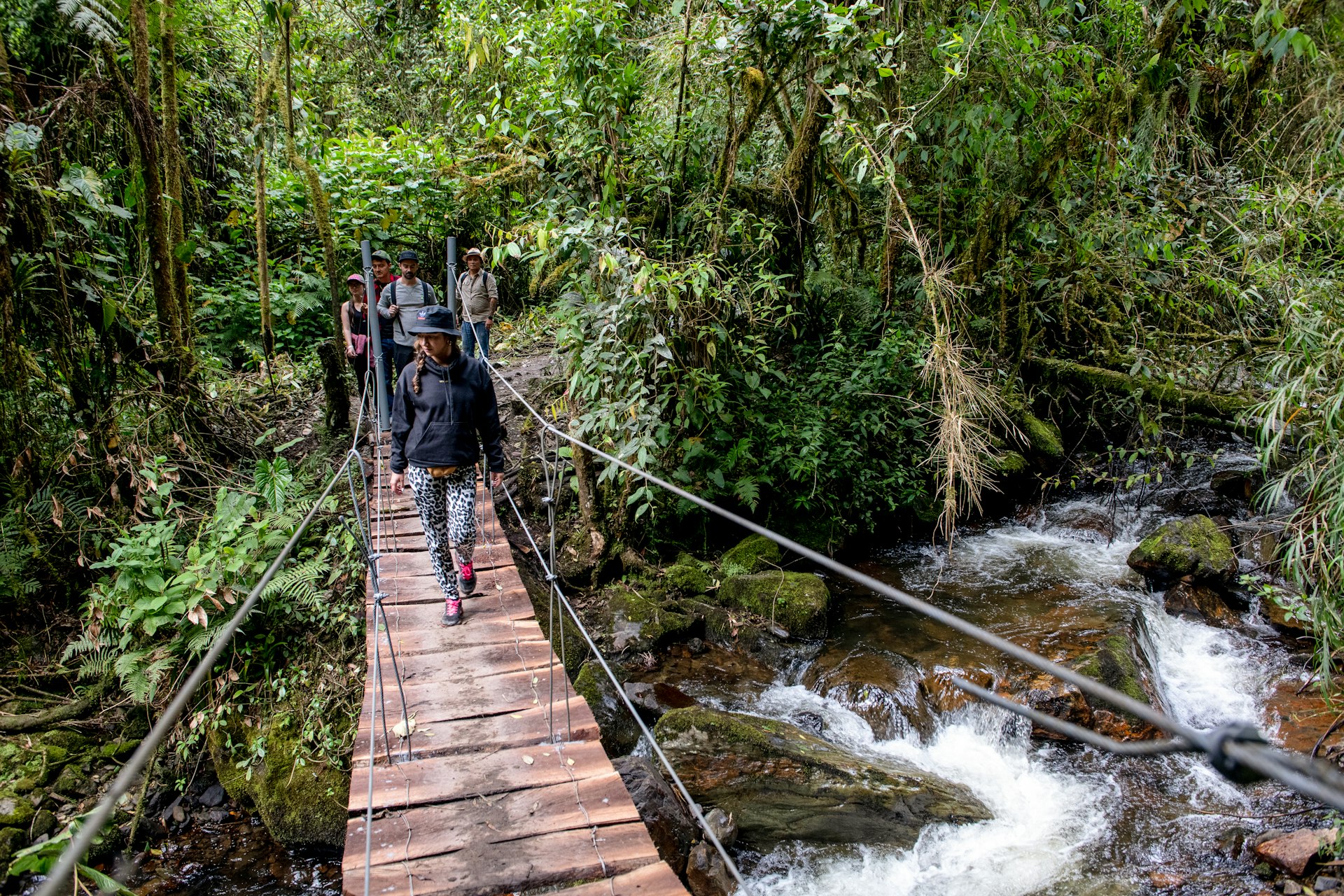 Hikers cross a wooden suspension bridge in a jungle environment