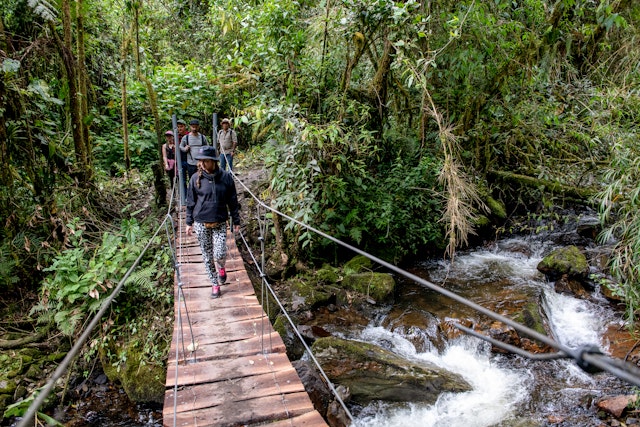 Hikers cross a wooden suspension bridge in a jungle environment