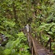 Woman walking down Jacko Steps to Layou River, Dominica.