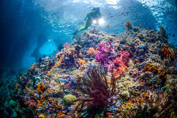 7 days at sea in Raja Ampat - Lonely Planet