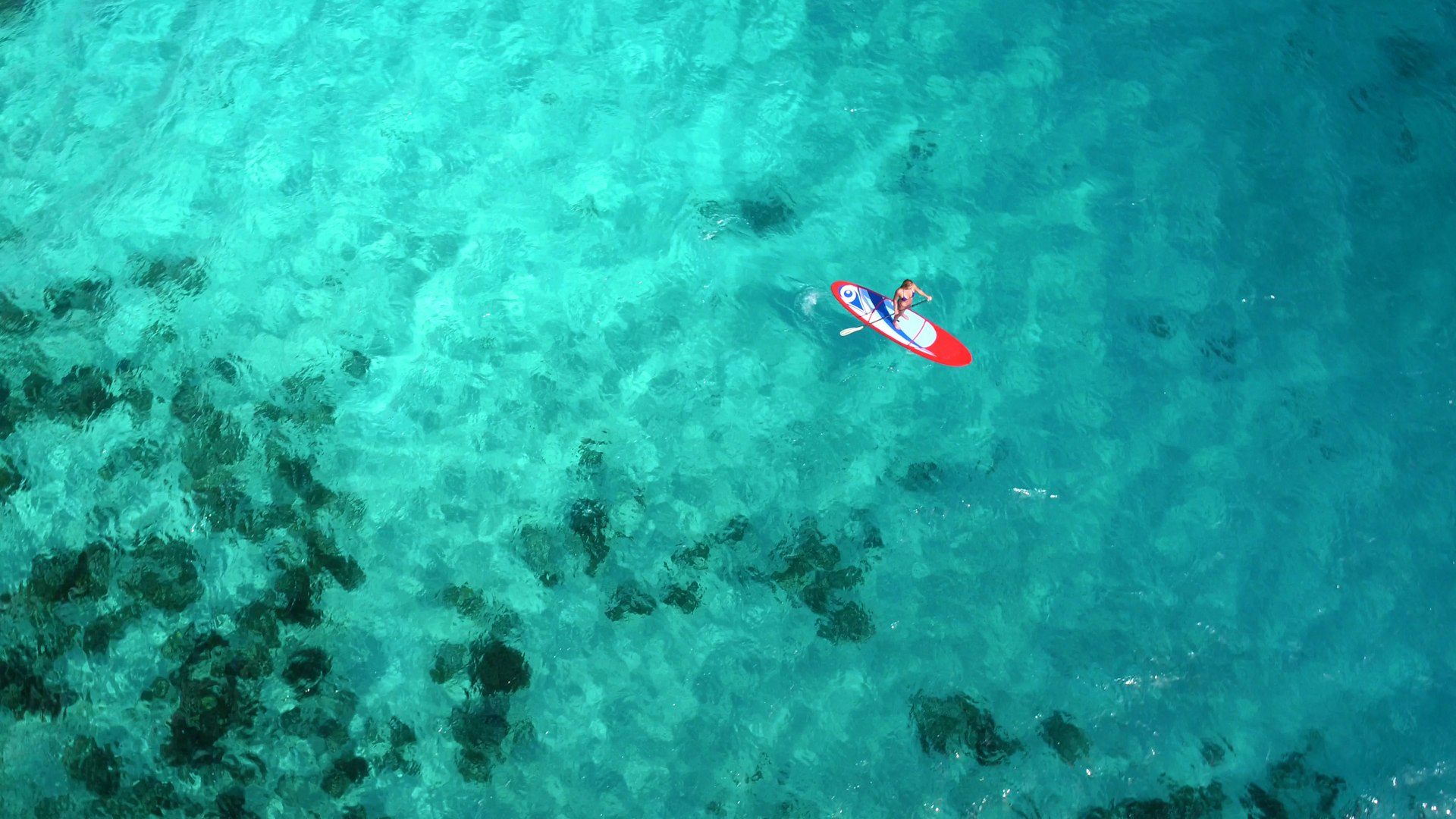 Aerial view of woman on paddleboard. 