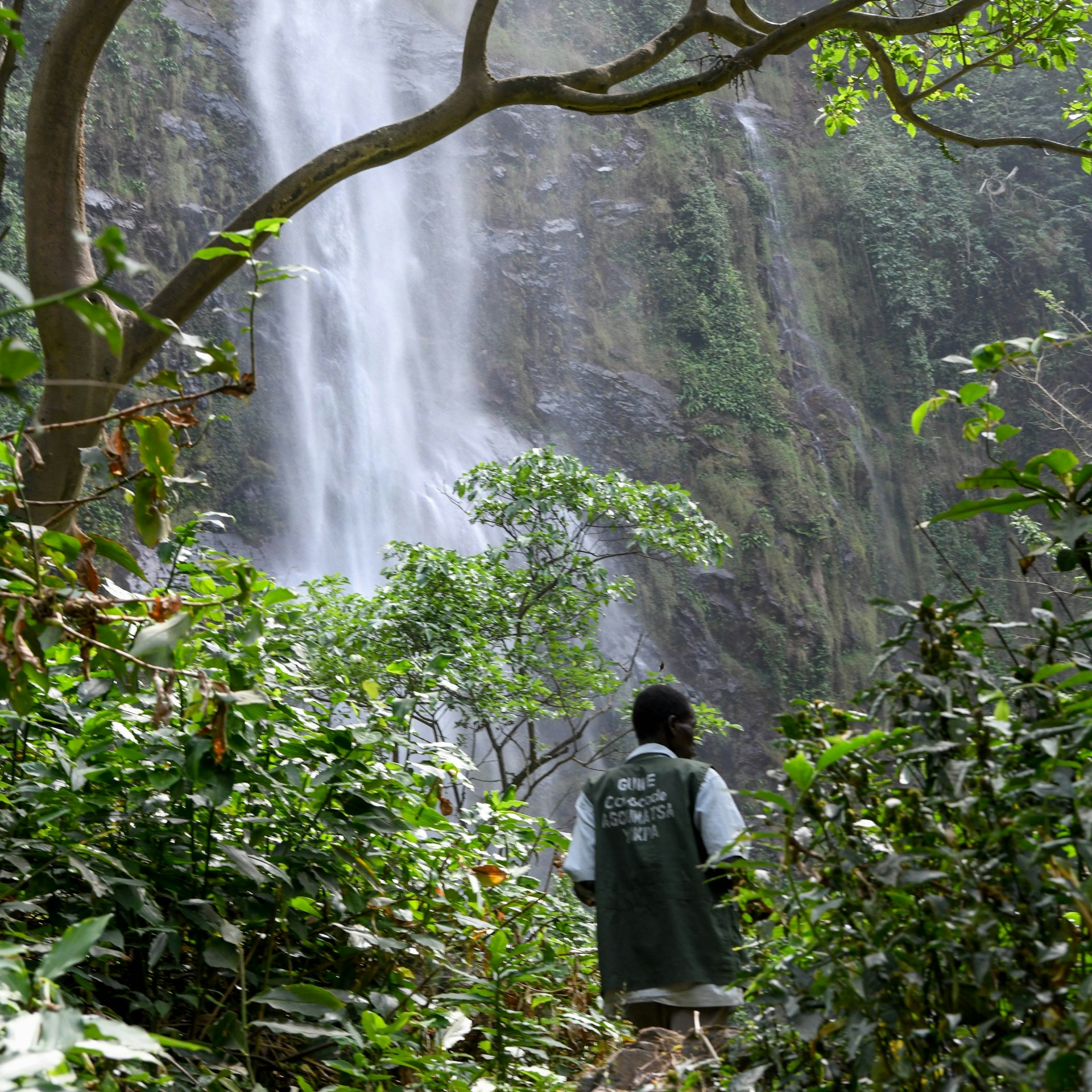 A man stands in the forest in front of Wli Falls, Ghana, West Africa