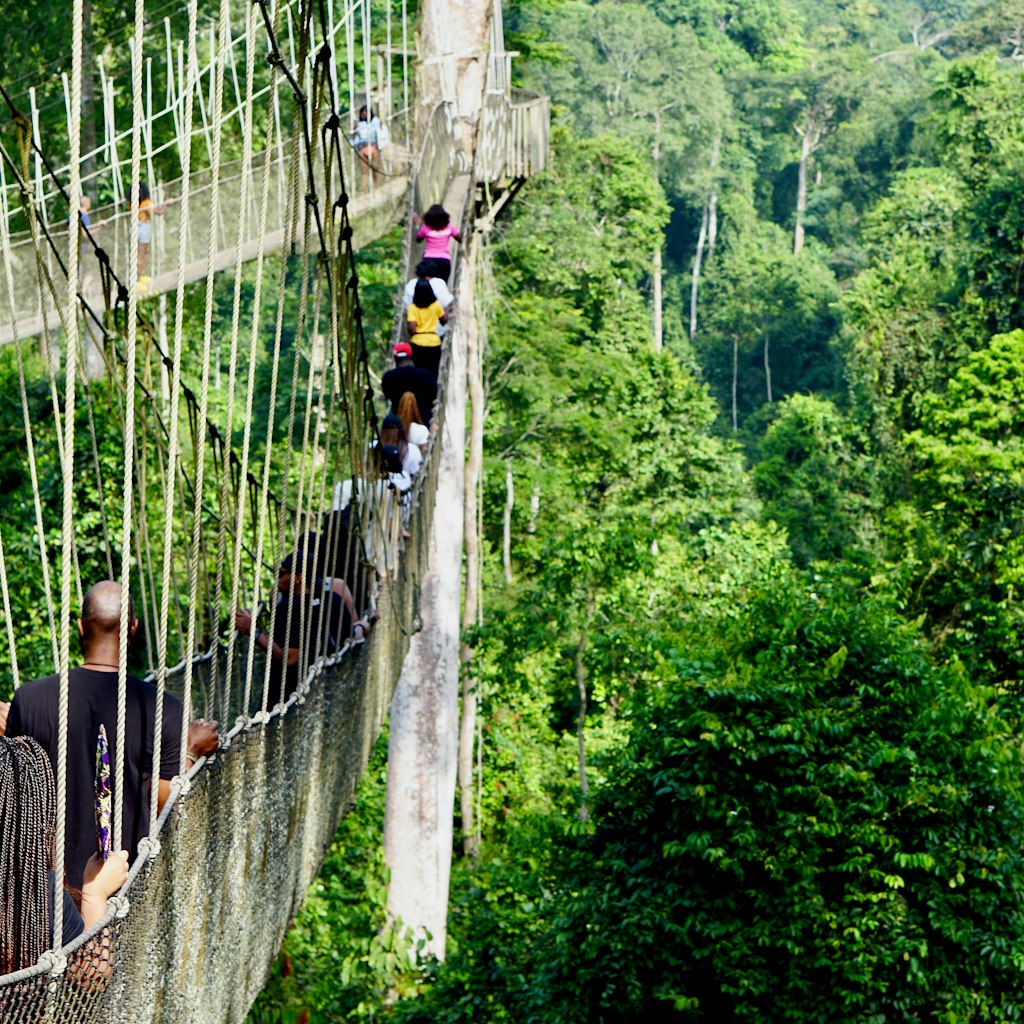 Guests enjoying the canopy walk above the rainforest in Kakum National Park, Ghana