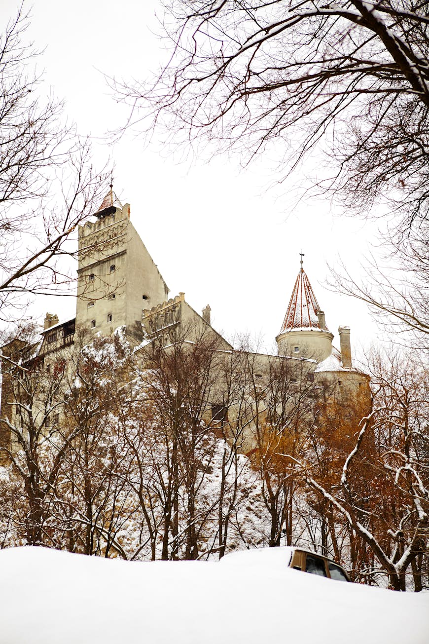 A moody castle sits atop a hill in winter with dead trees in front. 