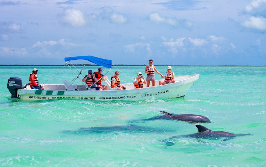 Tourists in a small boat watch two dolphins splashing about in the clear blue waters of a lagoon