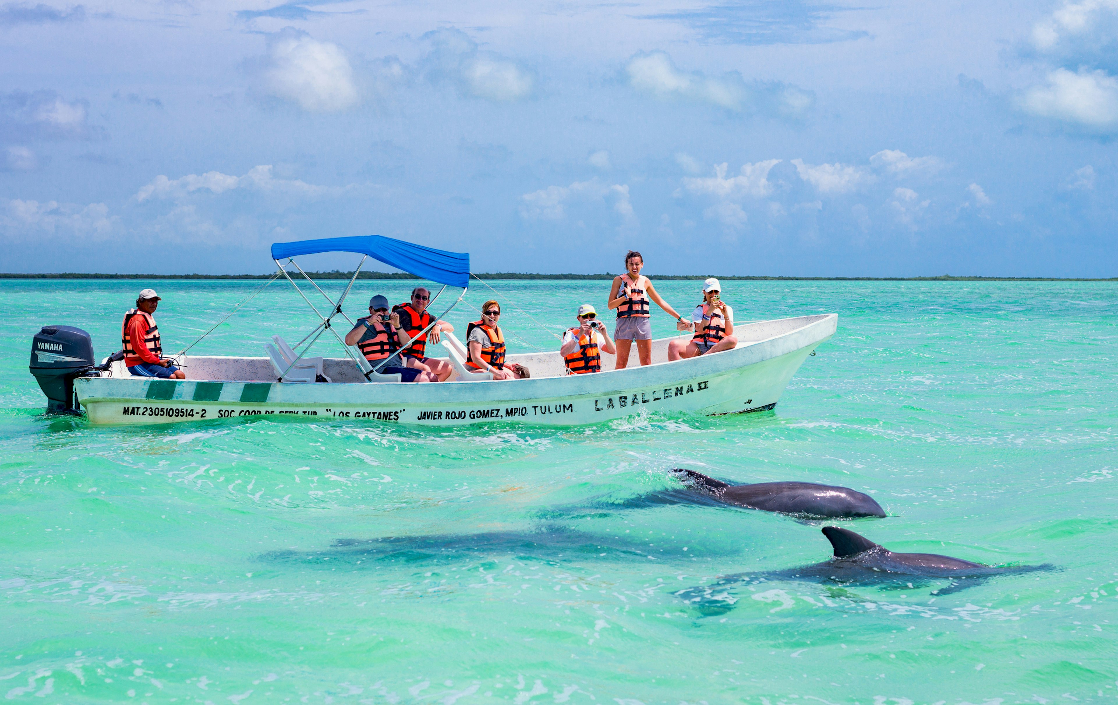 Tourists in a small boat watch two dolphins splashing about in the clear blue waters of a lagoon