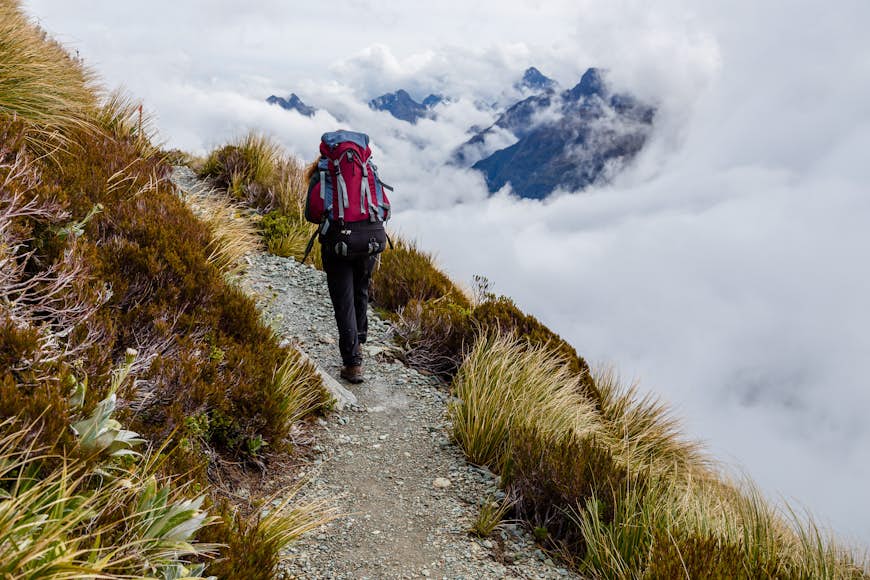 Hiking in South Alps on the Routeburn track, South island of New Zealand