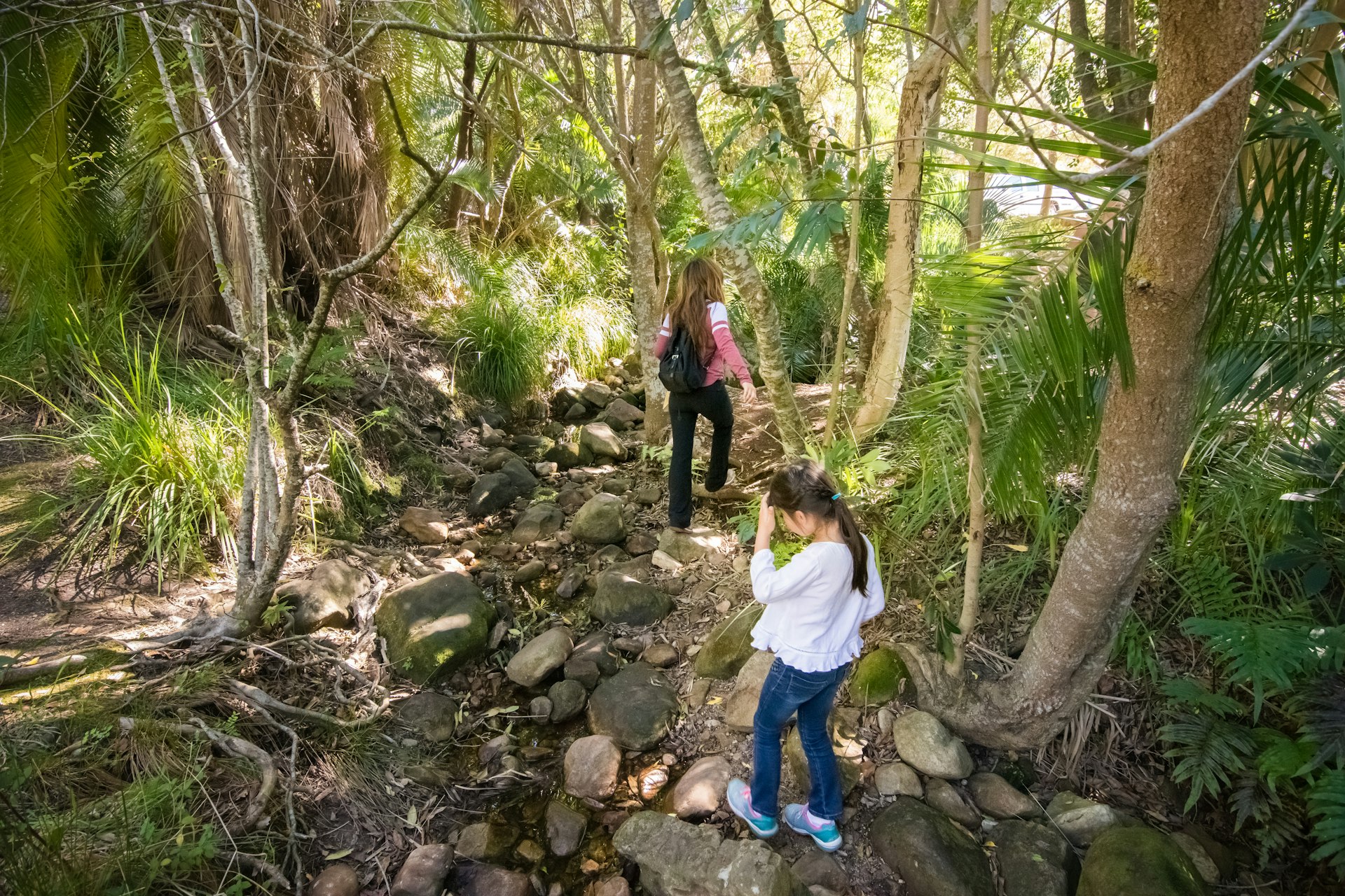 A mother and her daughter walking/hiking through the lush vegetation of Kirstenbosch Garden in Cape Town, South Africa