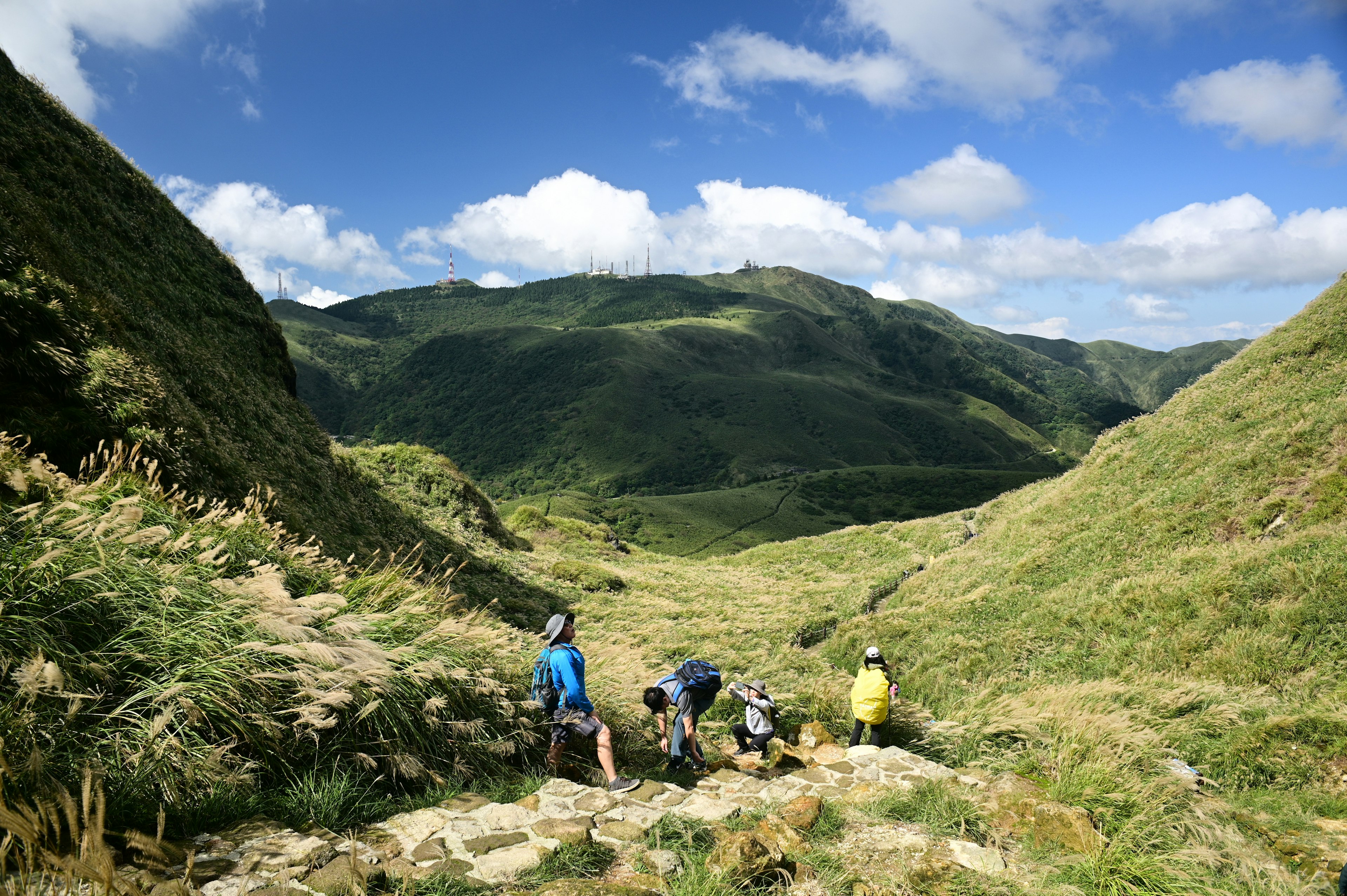 Every autumn, the Miscanthus is full of Yangming Mountain. This scene was taken on the Xiaoyoukeng Trail.