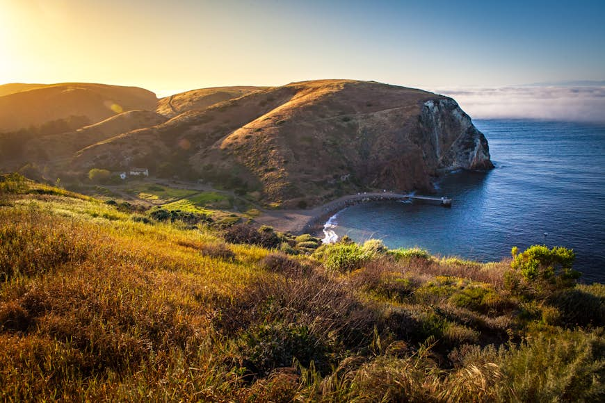 The sun sets over a rocky shore in the summer. 