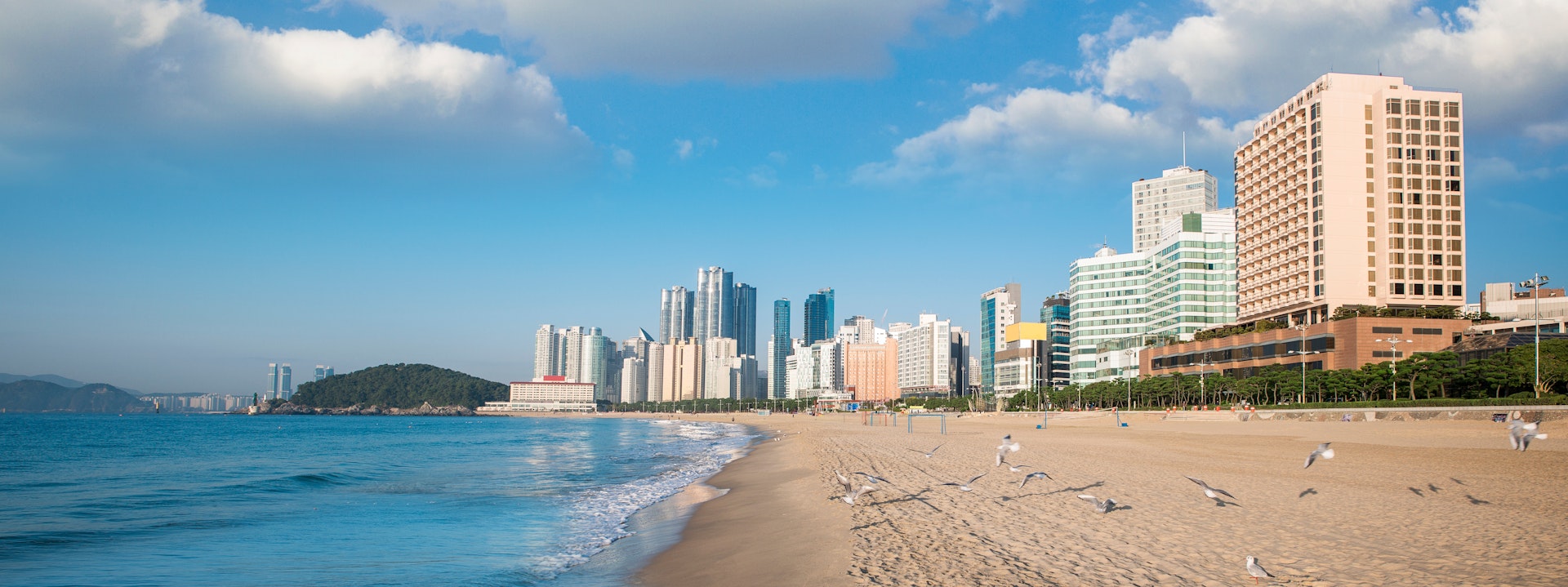 Panorama of seagulls flying near the sands of Haeundae Beach. 