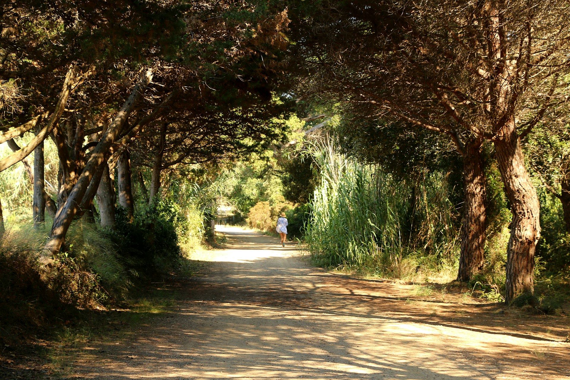 A stroll through Porquerolles Island, Hyères