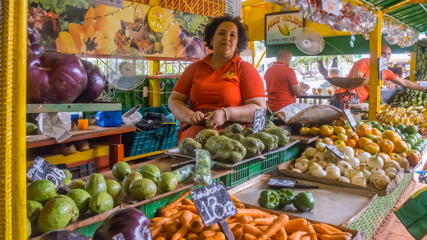 Havana, Cuba - january 15, 2016: Young woman tending inside a fruit and vegetable stand in the agricultural market of a populous neighborhood of the city; Shutterstock ID 1177792096; your: Zach Laks; gl: 65050; netsuite: Online Editorial; full: Discover