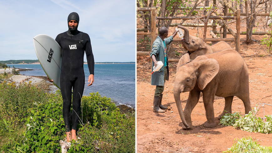 Surf the Nova Scotian coastline or visit Zambia's elephant orphanage. 