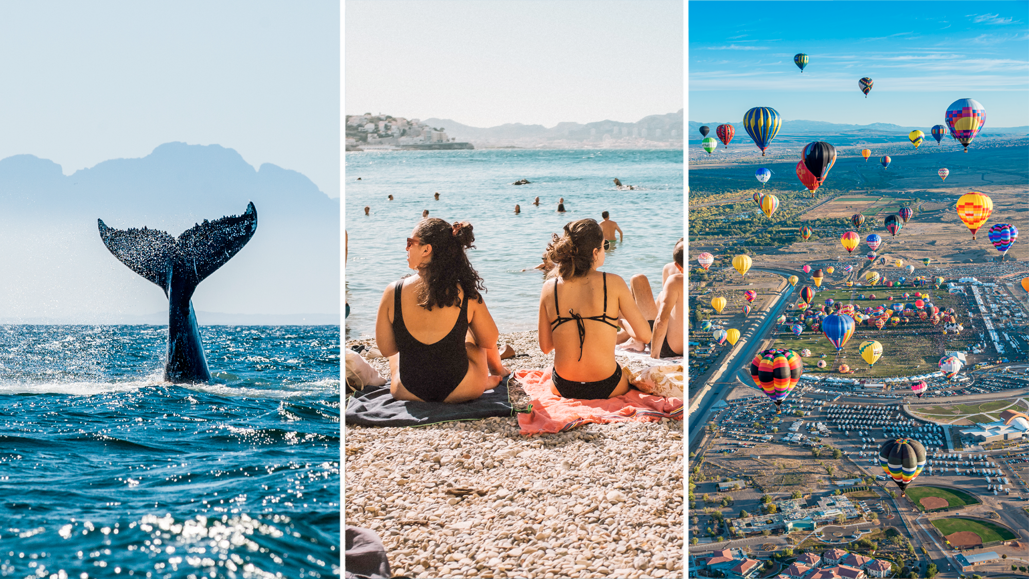 Whale watching in South Africa; beach goers in Marseille; Albuquerque Hot Air Balloon Fiesta. 