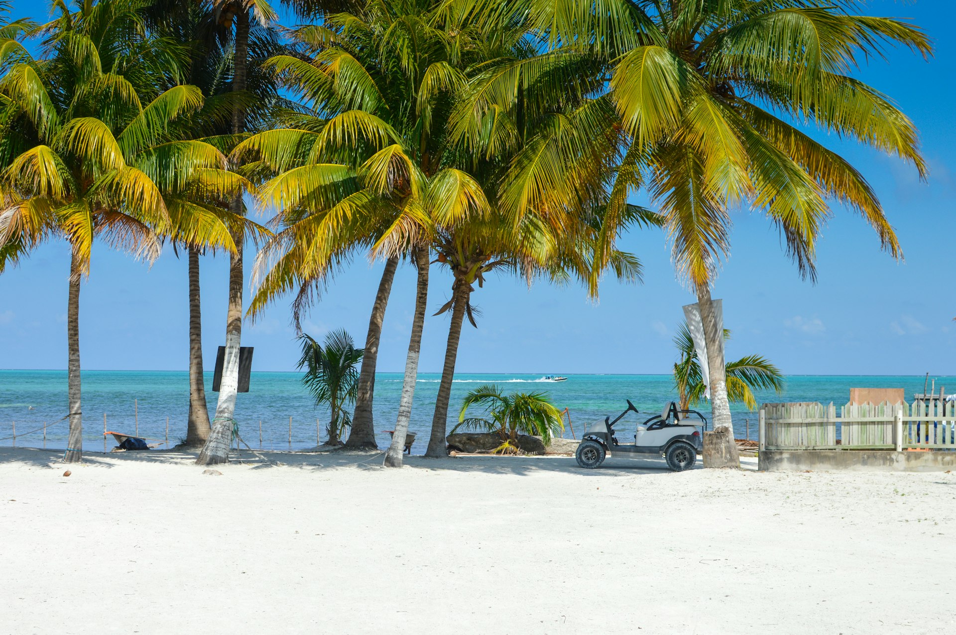 A small white golf cart is parked under palm trees on a beautiful beach backed by turquoise ocean