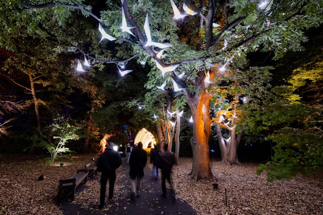 People walking under illuminated white origami-style cranes, hanging from trees at the Brooklyn Botanic Garden