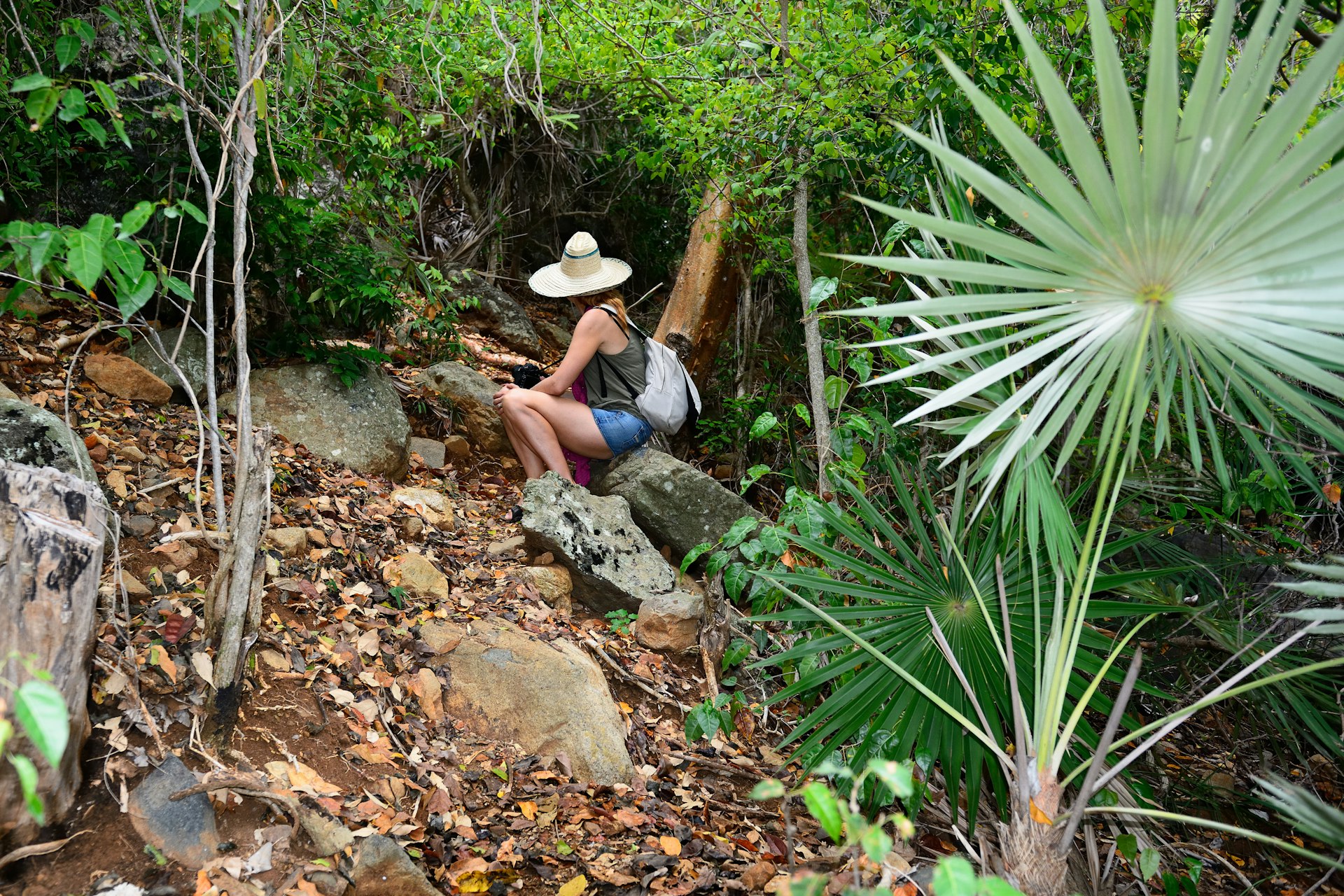 A person sits on a rock amidst vegetation on a trail up Pico Turquino in Cuba
