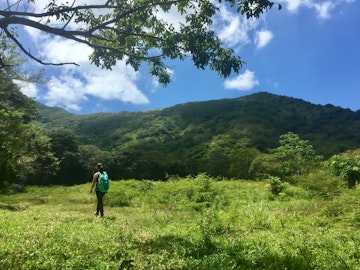 Woman hiking through an open field towards a mountain in Guanaja; Shutterstock ID 1098551843; your: Claire N; gl: 65050; netsuite: Online ed; full: Honduras hikes
1098551843