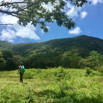 Woman hiking through an open field towards a mountain in Guanaja; Shutterstock ID 1098551843; your: Claire N; gl: 65050; netsuite: Online ed; full: Honduras hikes
1098551843