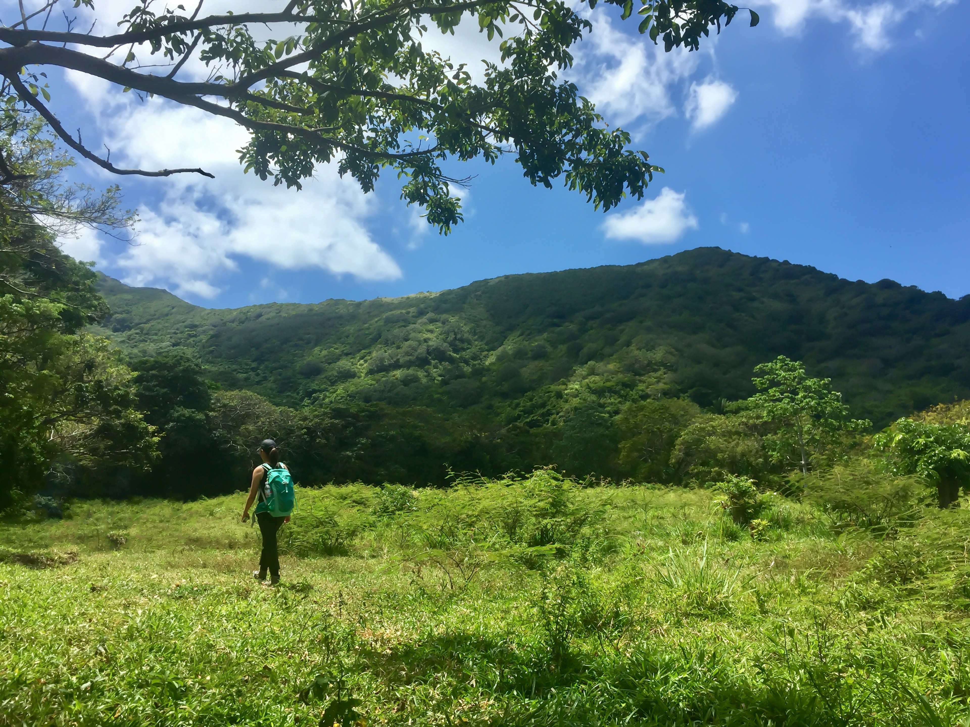 A woman hikes through a field near Guanaja