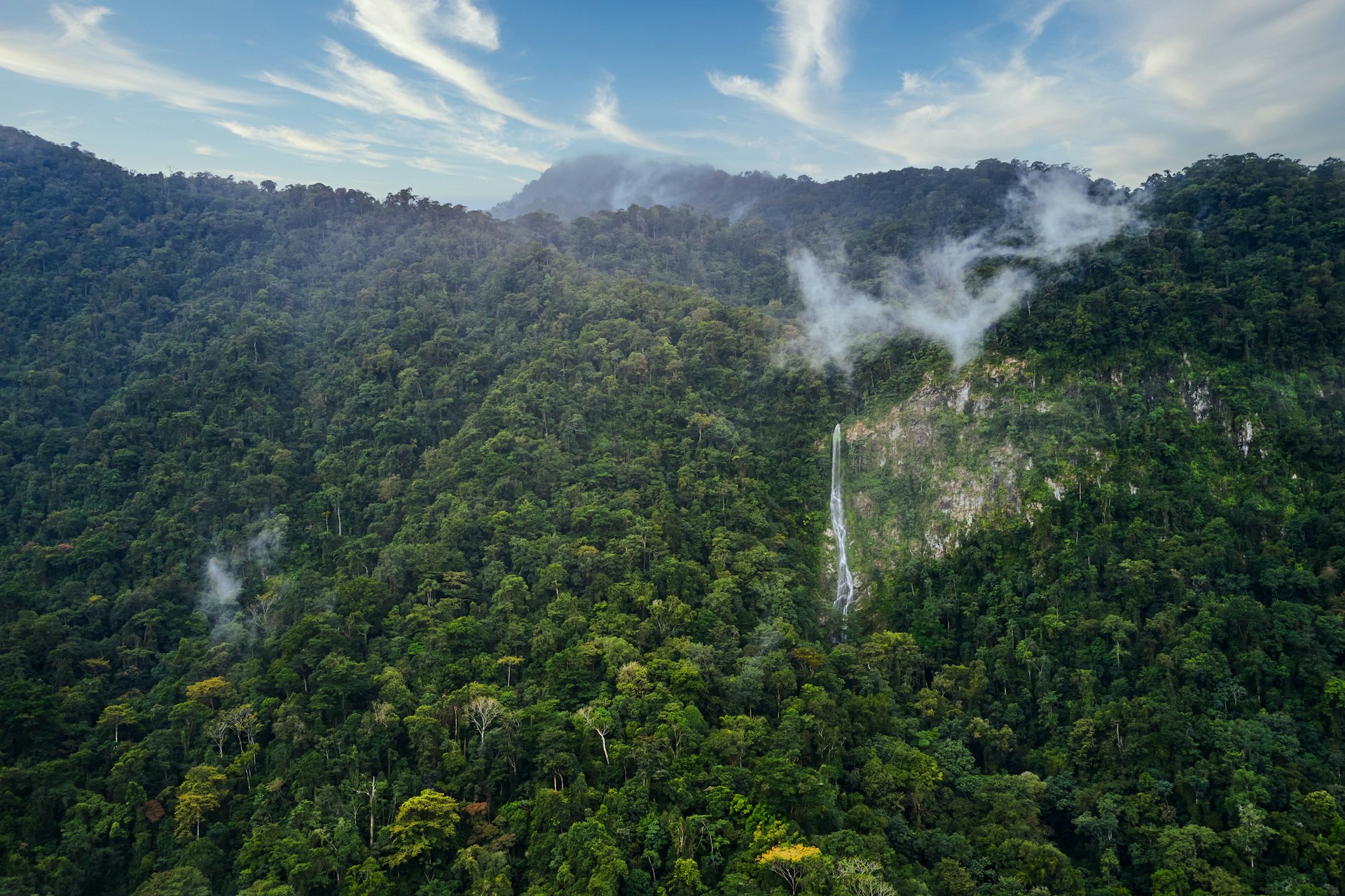 A waterfall in dense jungle