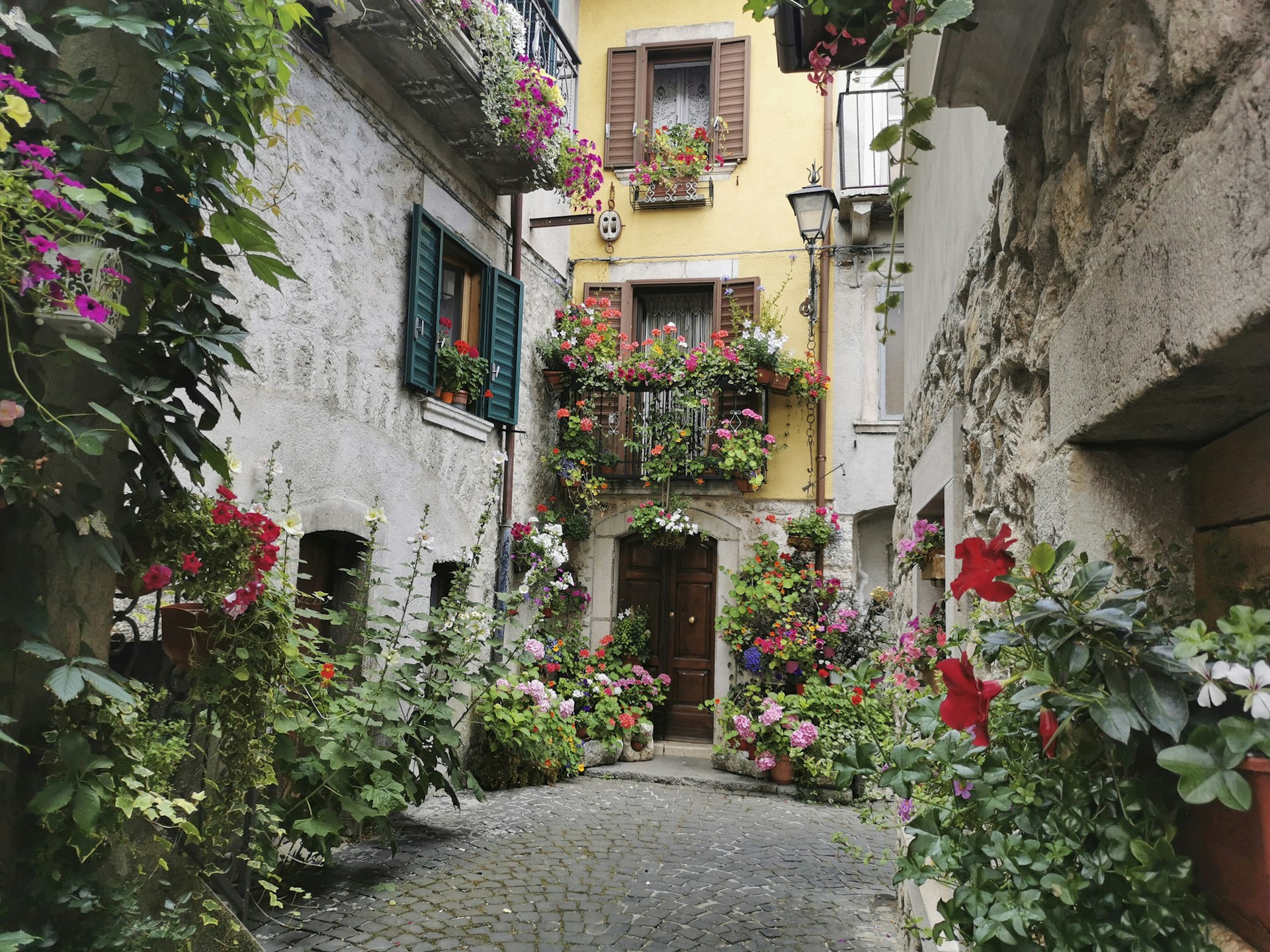A series of white-stone village houses with pots of brightly colored flowers outside
