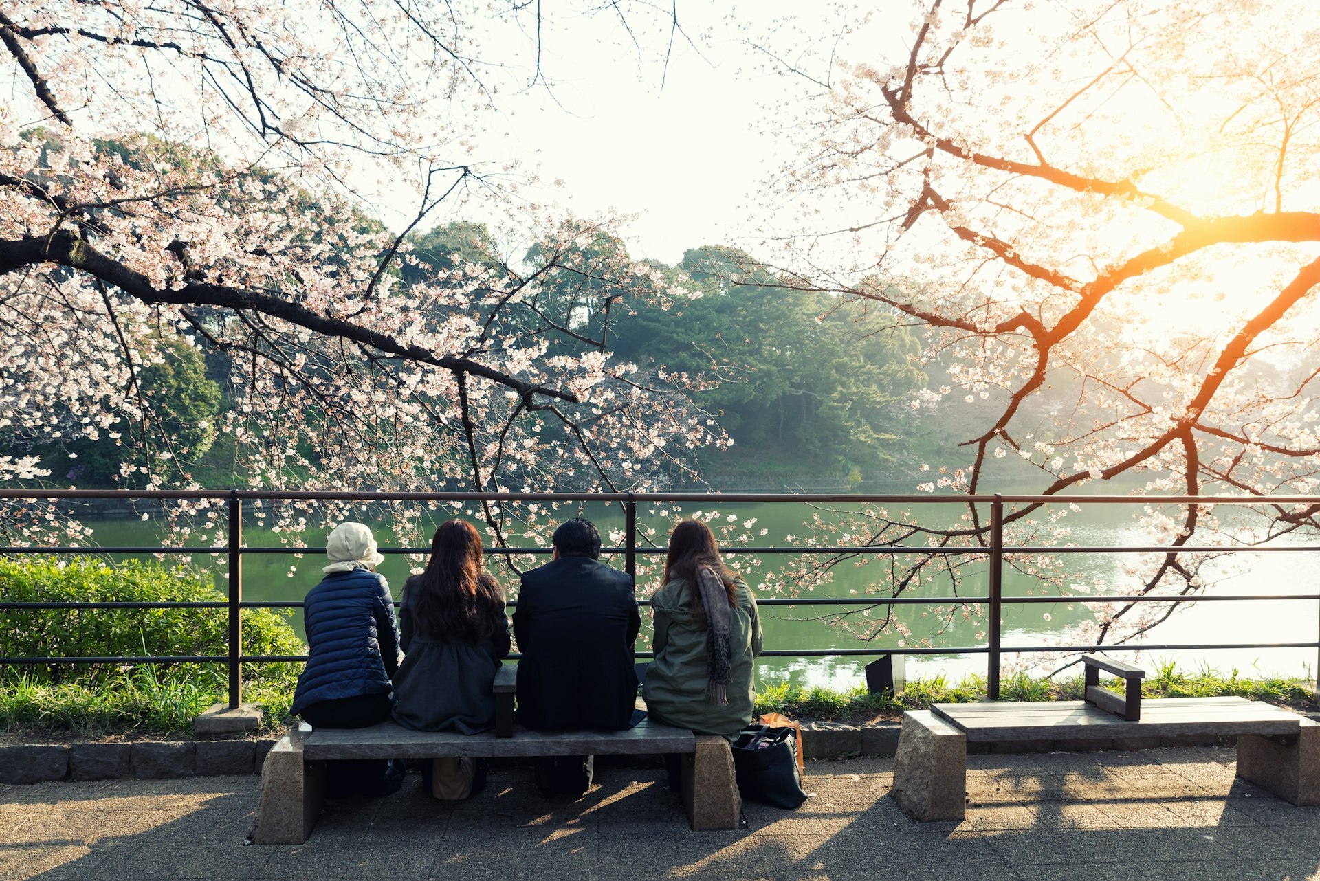 Four people sit on a bench by a lake in a park with cherry trees in blossom, Tokyo, Japan