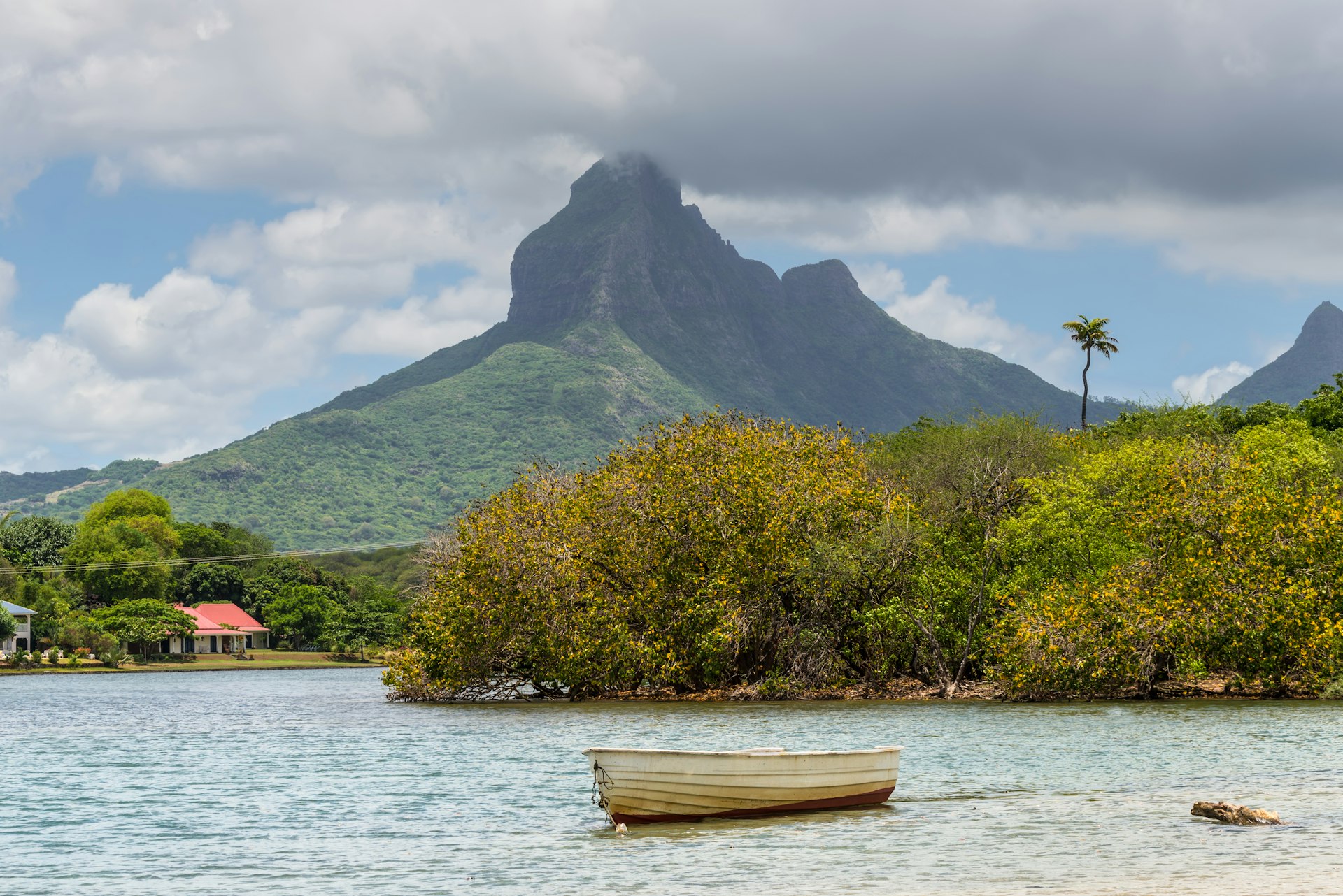 A large peak looms over a tropical coastline packed with foliage