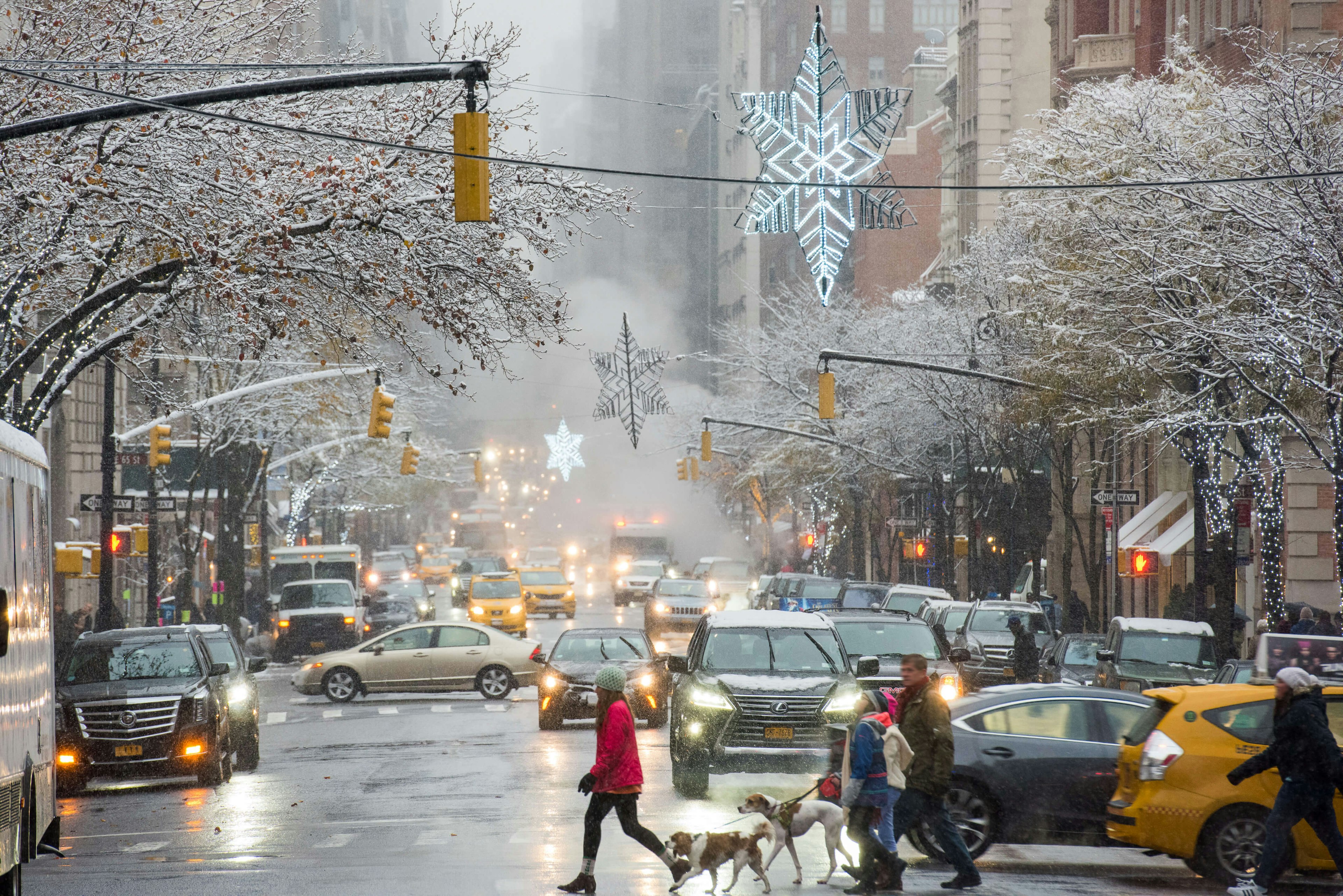 Traffic and people crossing the street in winter on Madison Ave, NYC